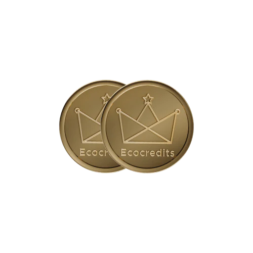 1000 EcoCredits - Flash Sale