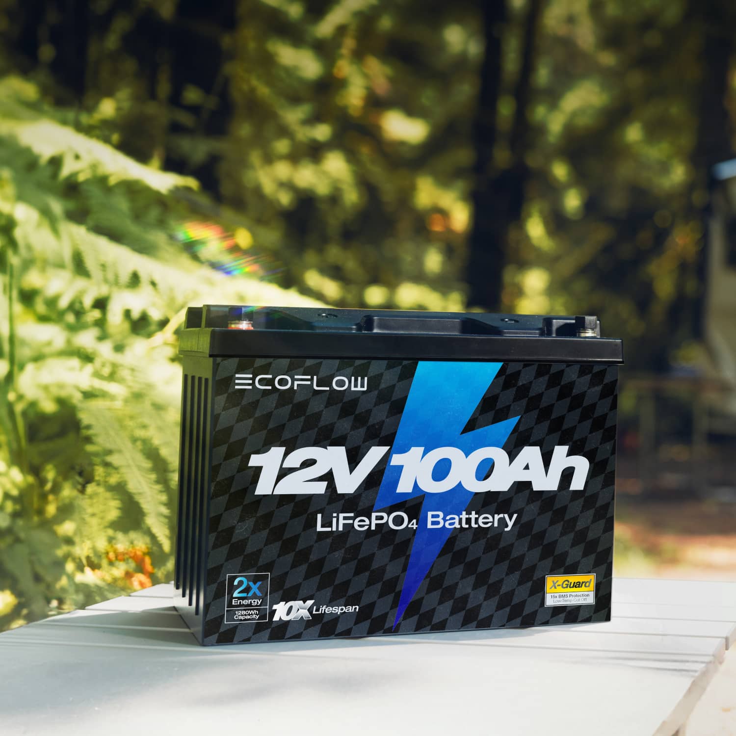 EcoFlow Lithium 12V 100Ah Deep Cycle LiFePO4 Battery 11 EcoFlow Lithium 12V 100Ah Deep Cycle LiFePO4 Battery